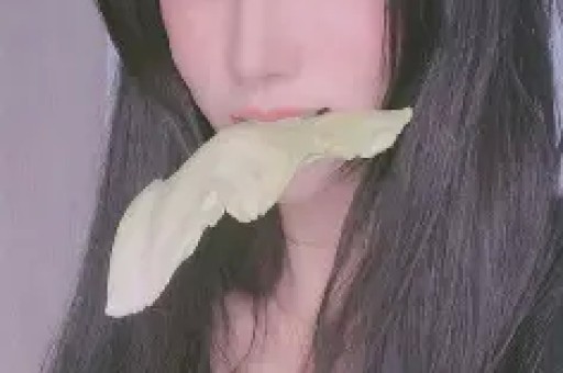 小红书和B站的网红们阻止了手机对相机的侵蚀
